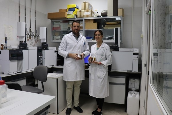Img aceite oliva
