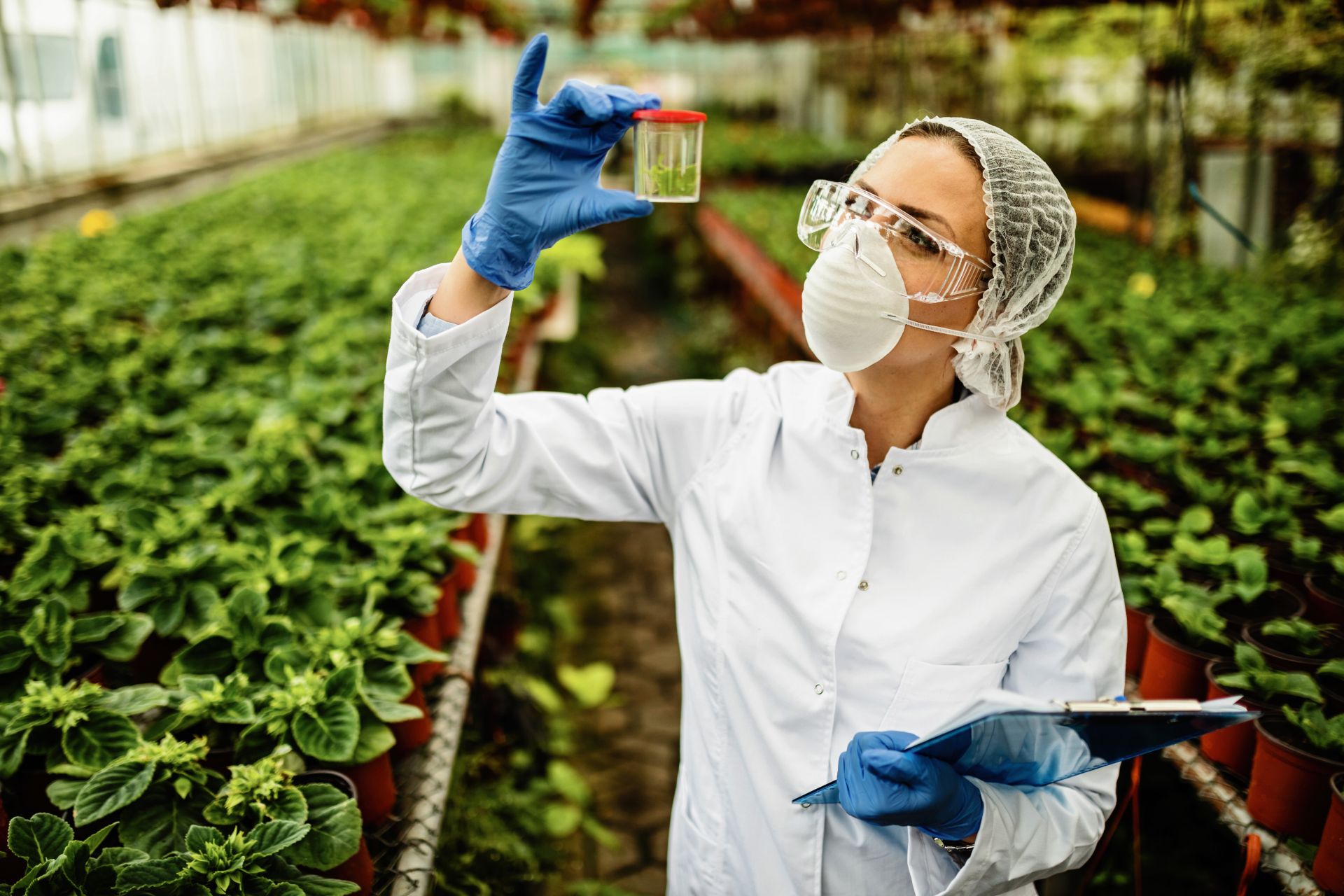 La química de los alimentos