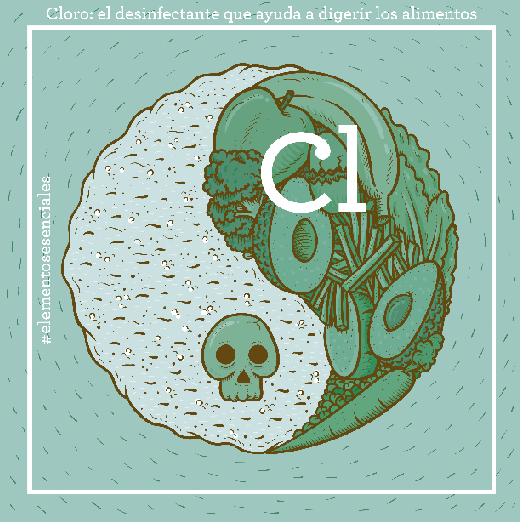 Cloro ayuda digerir alimentos
