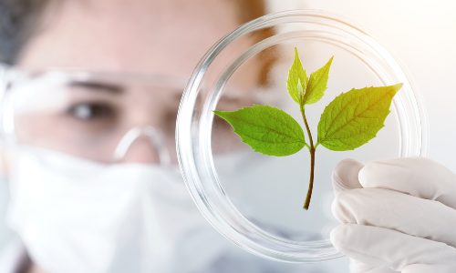 12 principios de la química verde