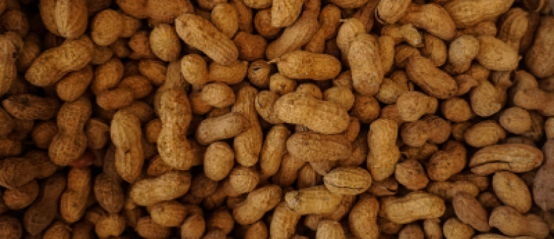Alergias e intolerancias alimentarias. Gestión y control