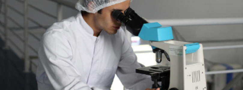 International Featured Standards (IFS): IFS Food