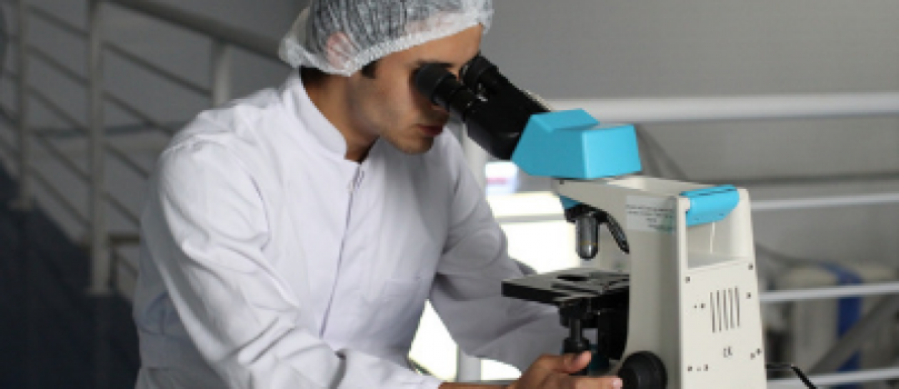 International Featured Standards (IFS): IFS Food