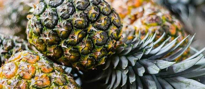 Obtener sustancias antibacterianas y antioxidantes de los residuos de piña