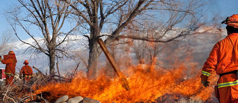 CURSO ONLINE: INTERVENCIÓN DE URGENCIA EN SINIESTROS MEDIOAMBIENTALES